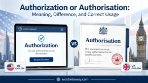 “Authorization” or “Authorisation” Meaning
