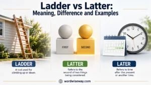 Ladder” vs “Latter” Meaning