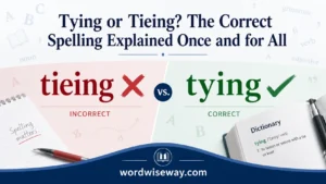 Tying or Tieing grammar comparison showing correct spelling tying and incorrect tieing in a clean educational design.