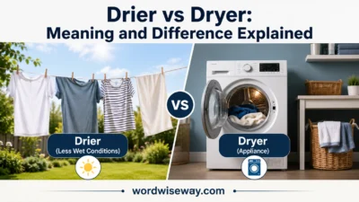 Drier vs Dryer: