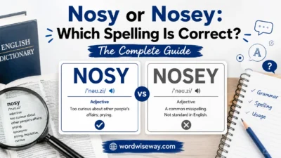Nosy or Nosey