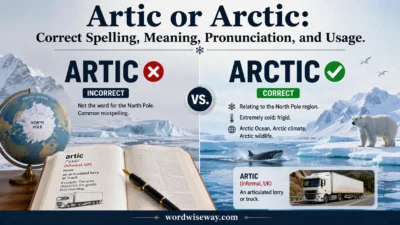 Artic or Arctic