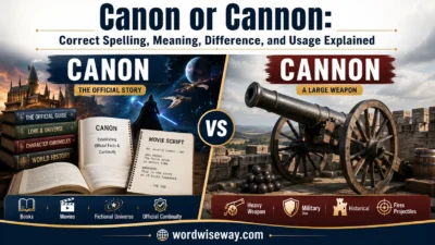 Canon or Cannon