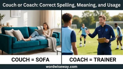 Couch or Coach
