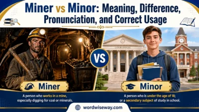 Miner vs Minor