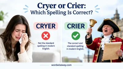 Cryer or Crier