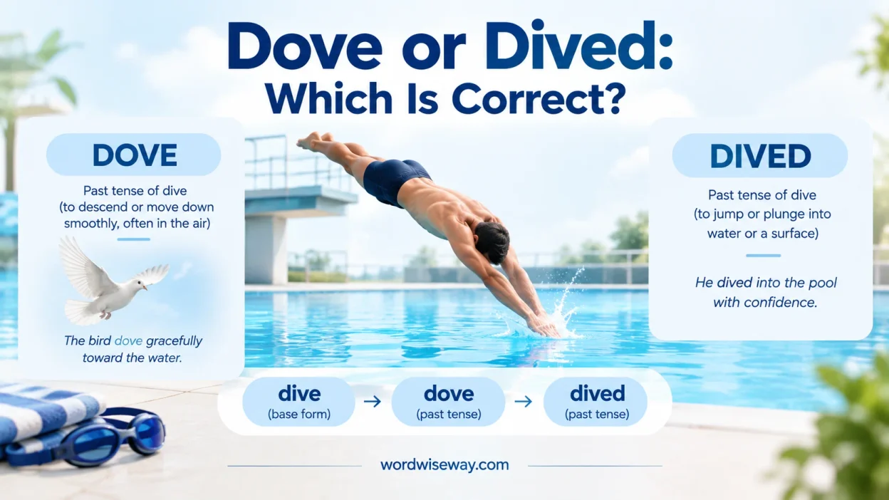 Dove or Dived