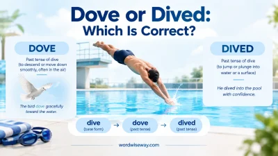 Dove or Dived