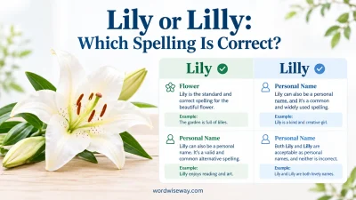 Lily or Lilly