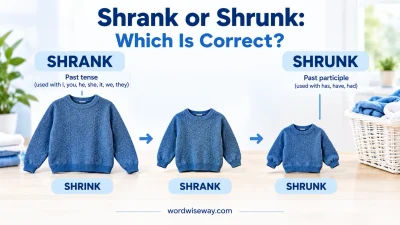 Shrank or Shrunk