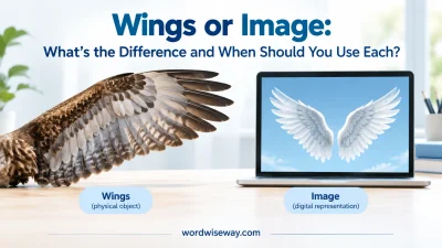 Wings or Image