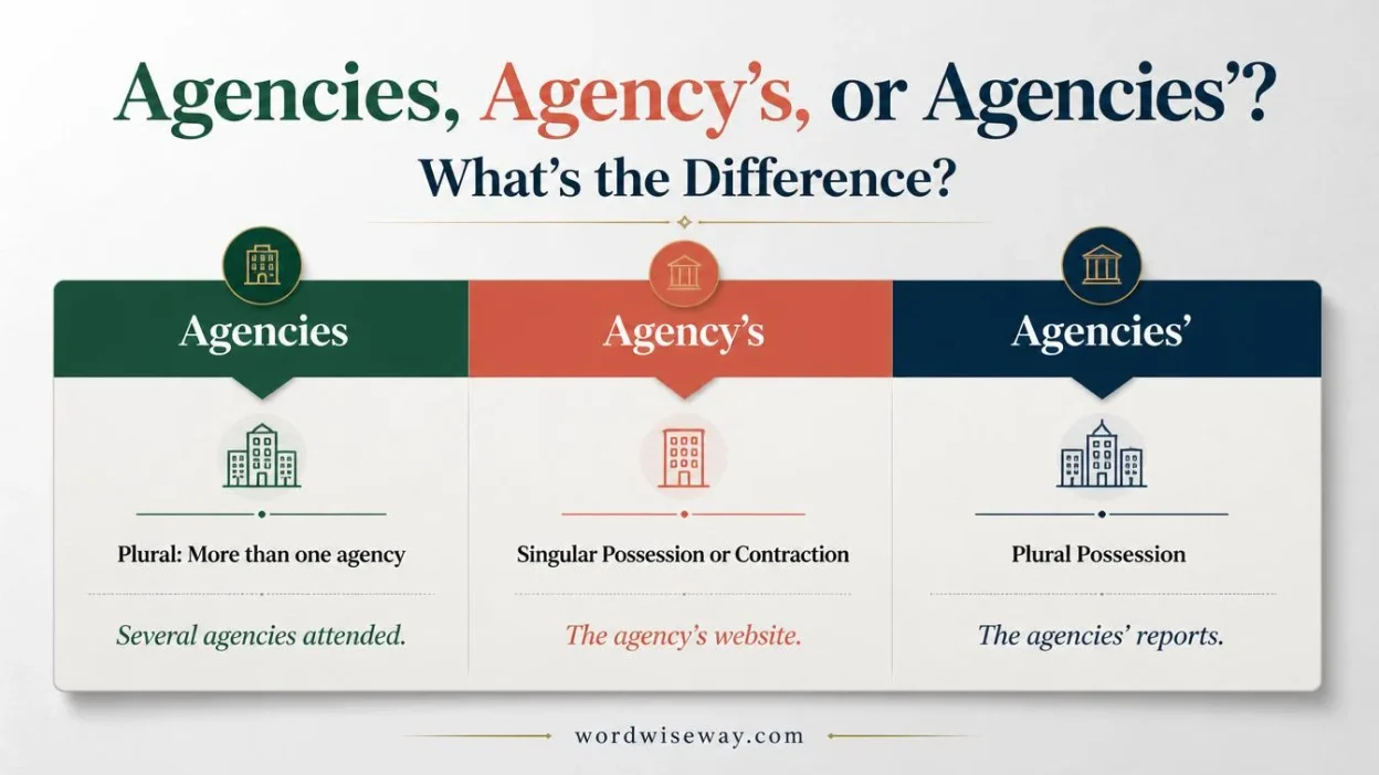 Agencies or Agency’s or Agencies’