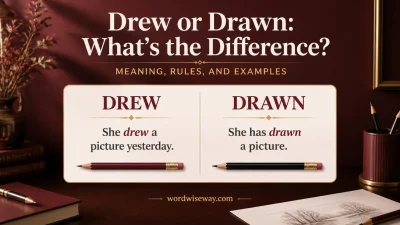 Drew or Drawn