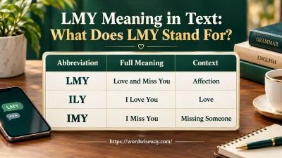 LMY Stand For