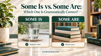 Some Is vs. Some Are
