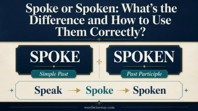 Spoke or Spoken