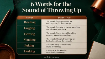 Words for the Sound of Throwing Up